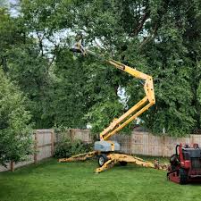 Best Grass Overseeding  in Gunbarrel, CO